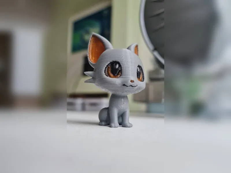 Gorgeous Cat