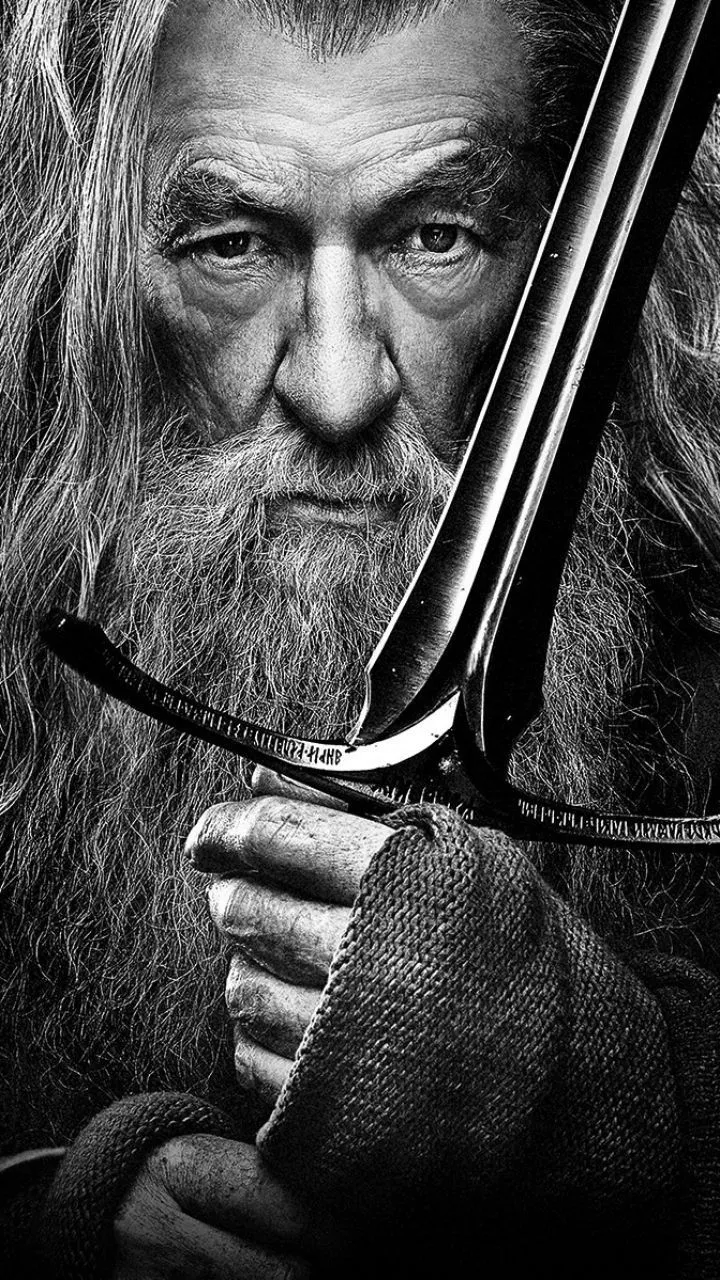 HUEFORGE - Gandalf with Sword Portrait