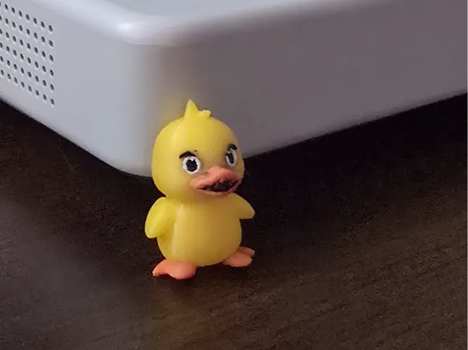 Desk duck