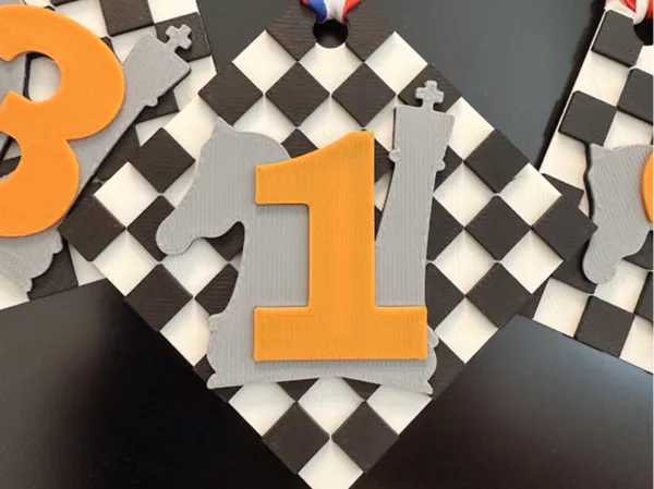 https://makerworld.bblmw.com/makerworld/model/USfad756775812df/design/2025-02-27_cf702737876fe.jpg
