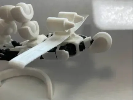 https://makerworld.bblmw.com/makerworld/model/USfada304adbf87e/design/2024-09-24_20b886f96db5e.webp