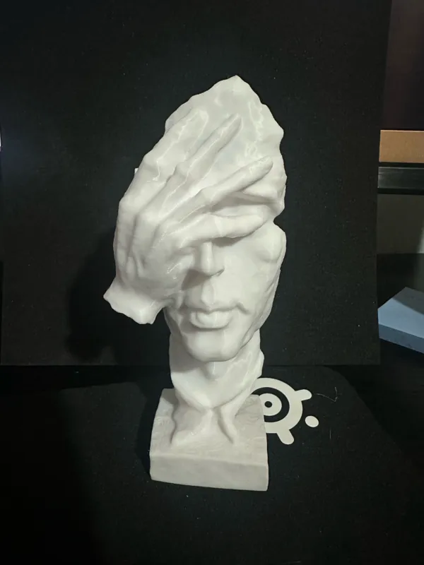 https://makerworld.bblmw.com/makerworld/model/USfadfc222d29d26/design/2023-11-16_c37b37bda62a6.jpeg
