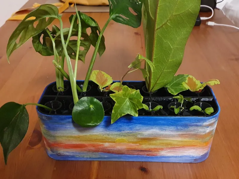 Germinator box