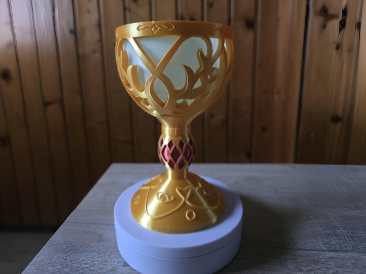 The Mortal Cup - Shadow Hunters