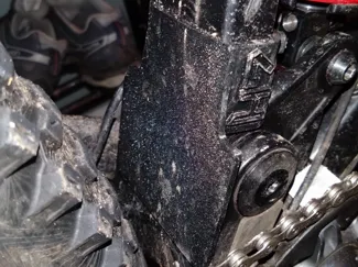 Privateer 161 G1 Fender