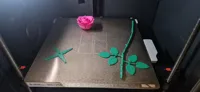 Whole Rose on Single Plate