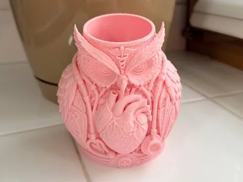 Soporte: Dr. Hoot – Anatomical Medical Pen Holder — referencia de MakerWorld