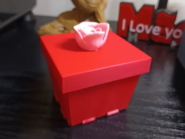 https://makerworld.bblmw.com/makerworld/model/USfaea8008bb89bb/design/2025-04-26_c67ecda1630a08.jpg