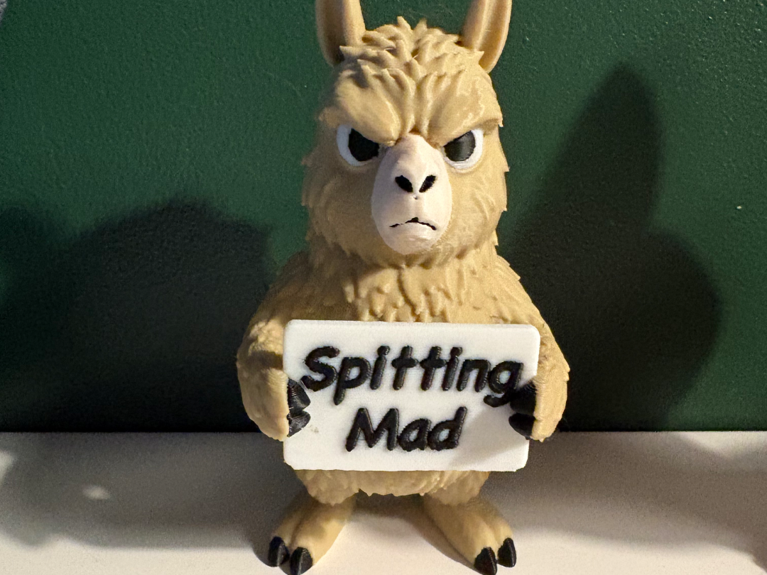 Cute But Grumpy Lama
