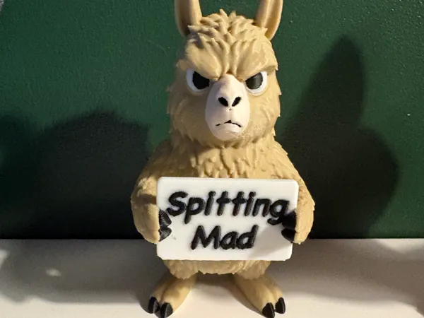 https://makerworld.bblmw.com/makerworld/model/USfaf50a6fd7bd32/design/e573ea637582541f.jpeg