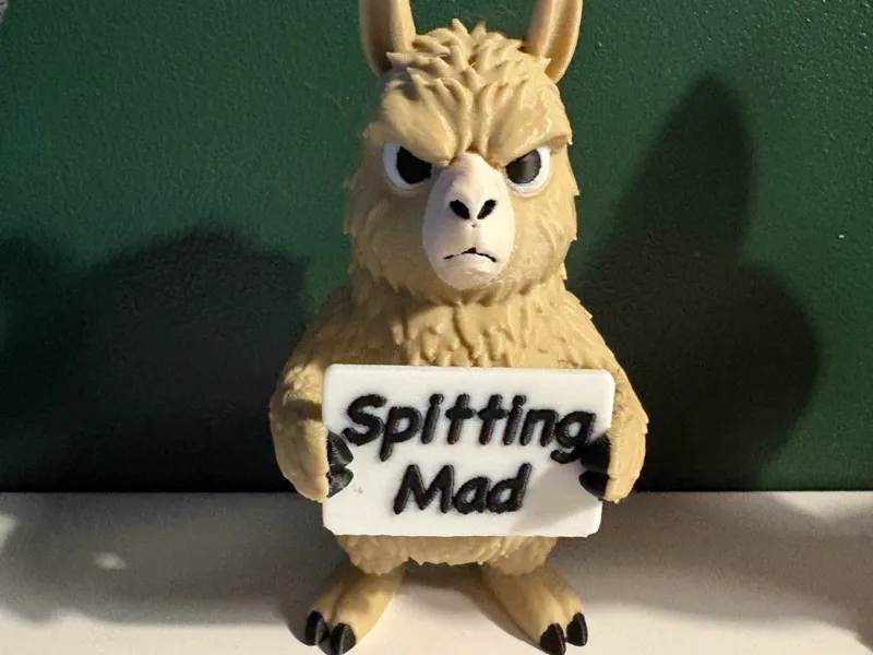 Cute But Grumpy Lama