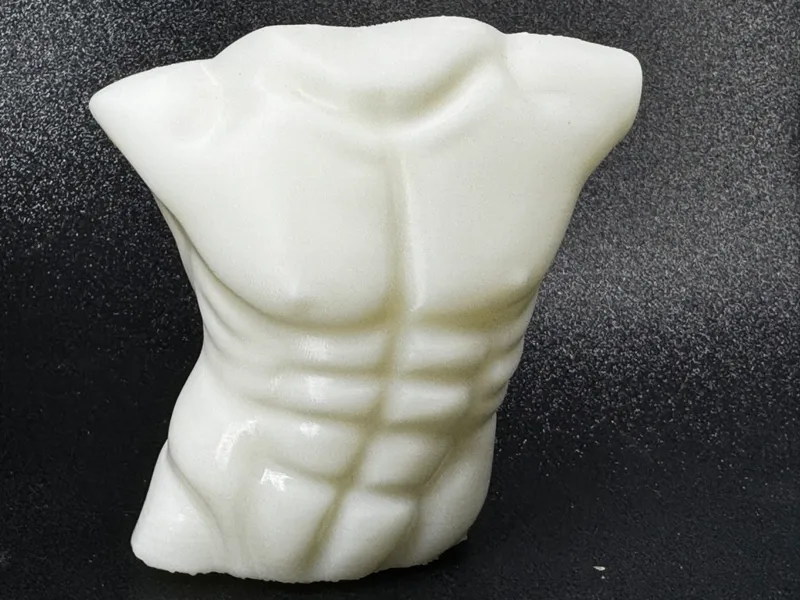 Torso of a Man