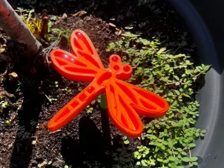 Insektentränke-Liebelle