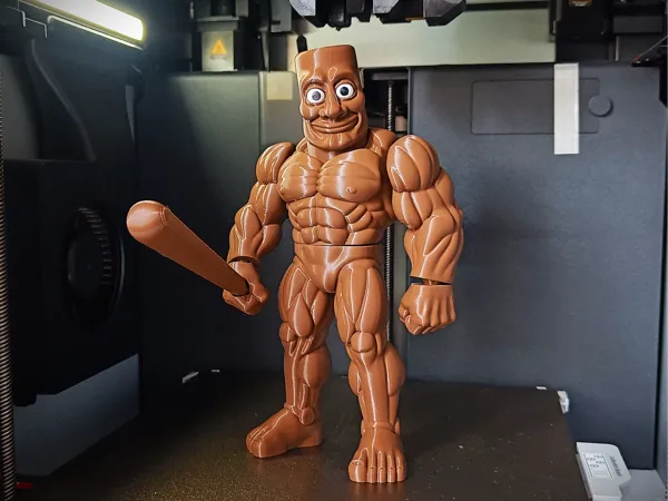 https://makerworld.bblmw.com/makerworld/model/USfafcf7a7020875/design/2025-06-05_b3c118d6858b18.jpg