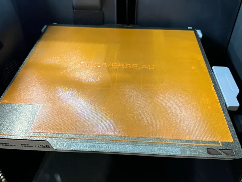 P1/X1 1ST Layer Test