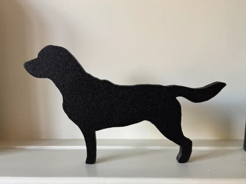 Black Labrador