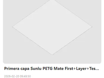 Primera capa Sunlu PETG Mate First+Layer+Test