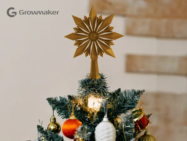 https://makerworld.bblmw.com/makerworld/model/USfb0674b264dc81/design/2024-12-08_5c0q7yog8i4h.png