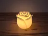 tealight rose