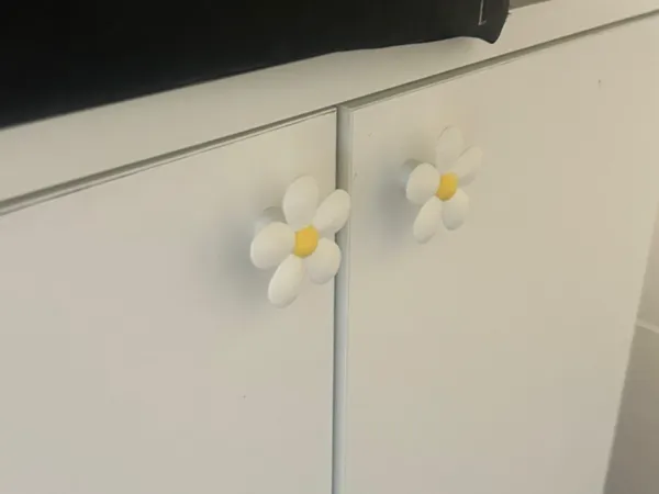 https://makerworld.bblmw.com/makerworld/model/USfb0d3ca75c080/design/2025-10-11_fdfc23d6ad94e.jpg