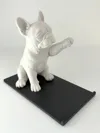 Two Color (AMS) - 0.2mm layer, 2 walls, 15% infill