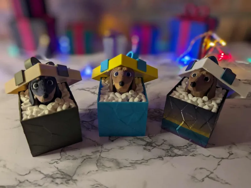 Dachshund in Christmas Present - Sausage Dog