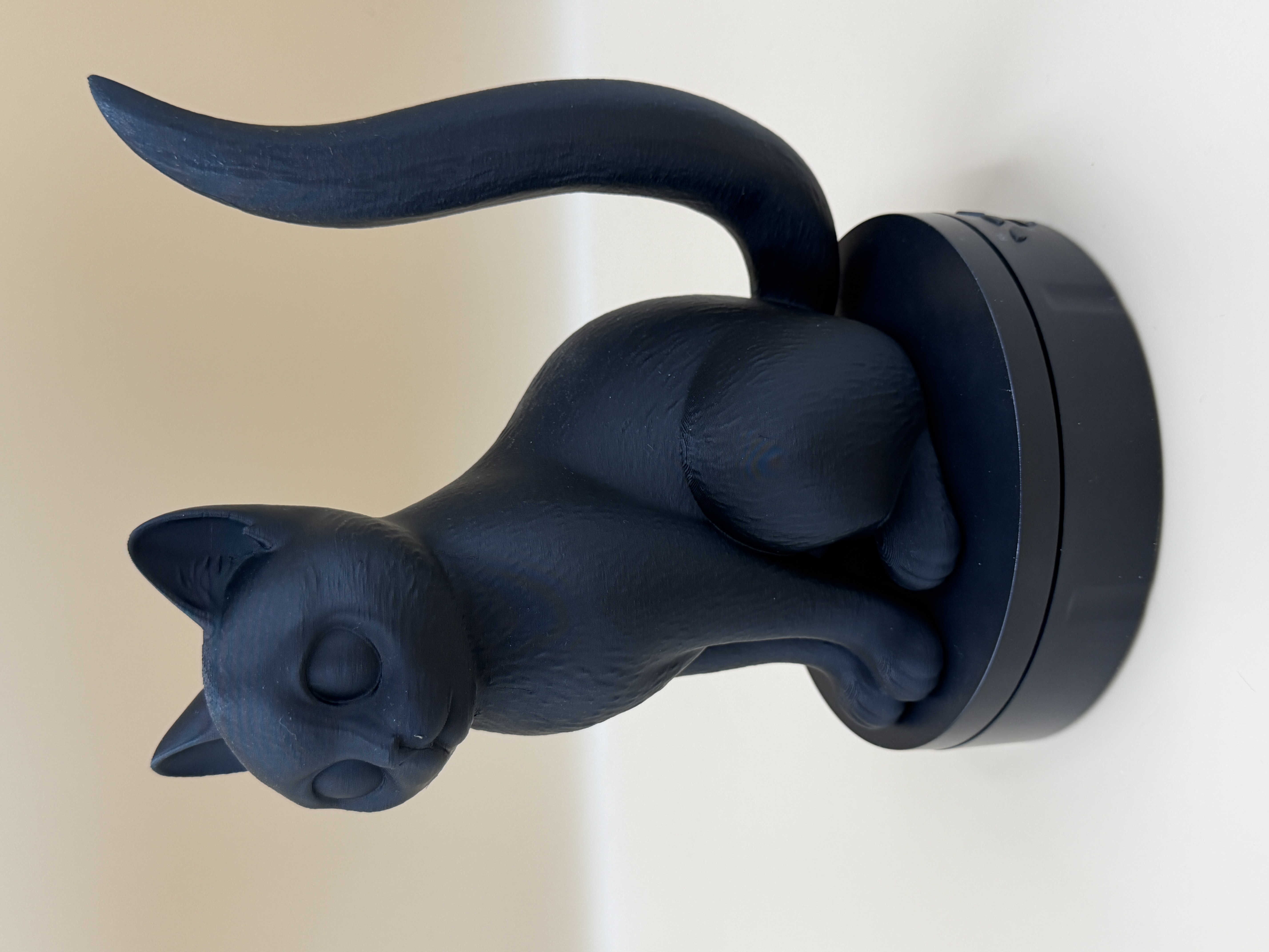 Miniatura 2 do modelo 3D Moonstripe Kitten 