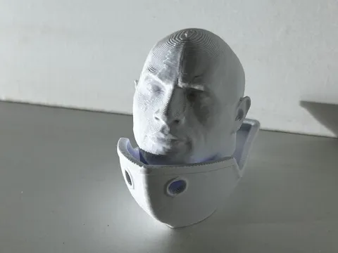 The Rock Benchy
