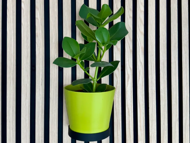 Blumentopf Halterung (6–20 cm) für Akustikpaneele