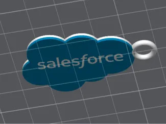 Salesforce Key Ring