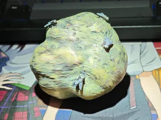 黑暗之魂3 屎块