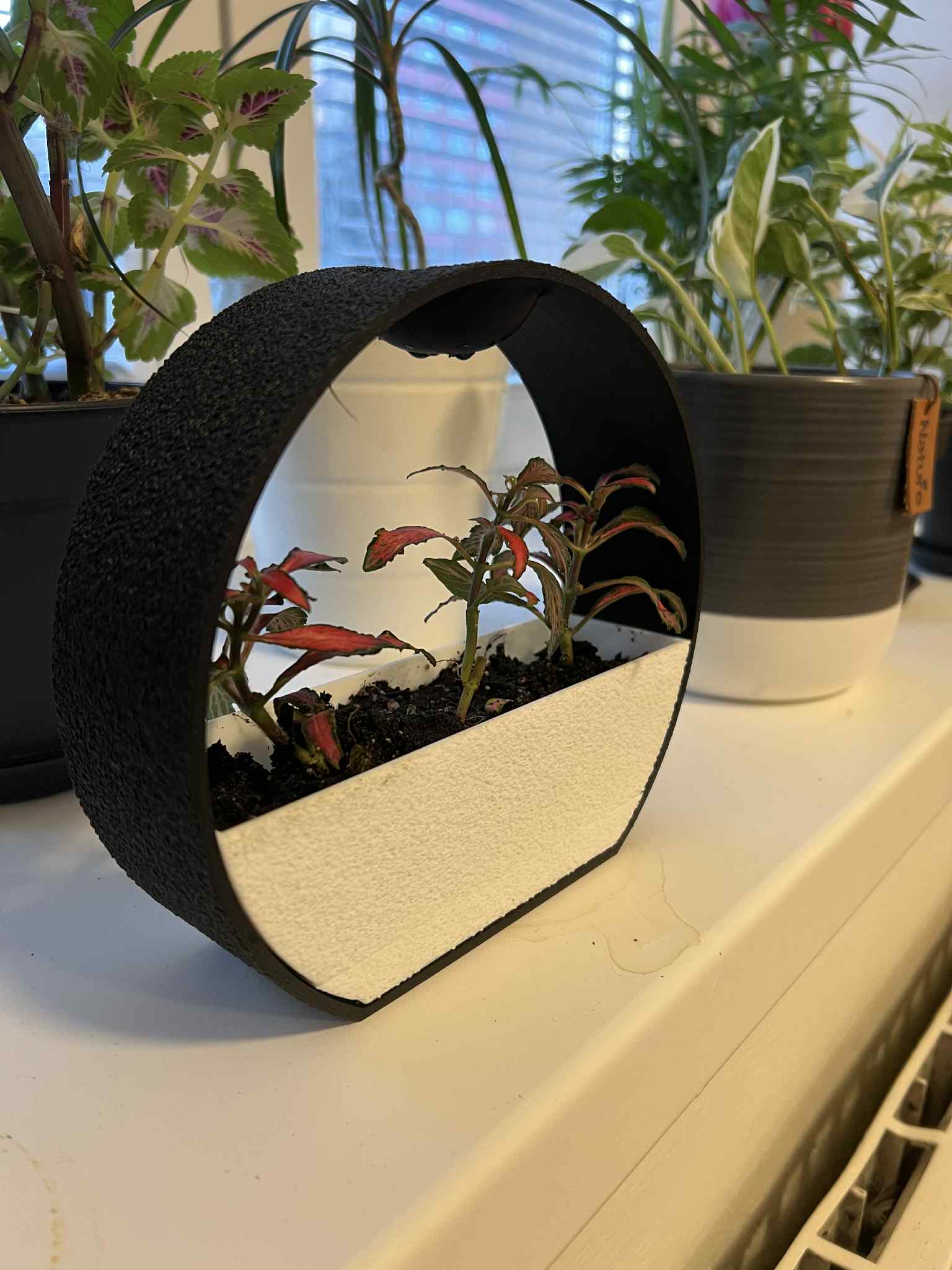Miniatura 2 do modelo 3D ZenRain: Stone Effect Self-Watering Planter