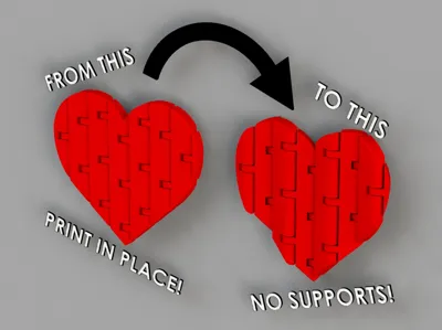 The Folding Heart