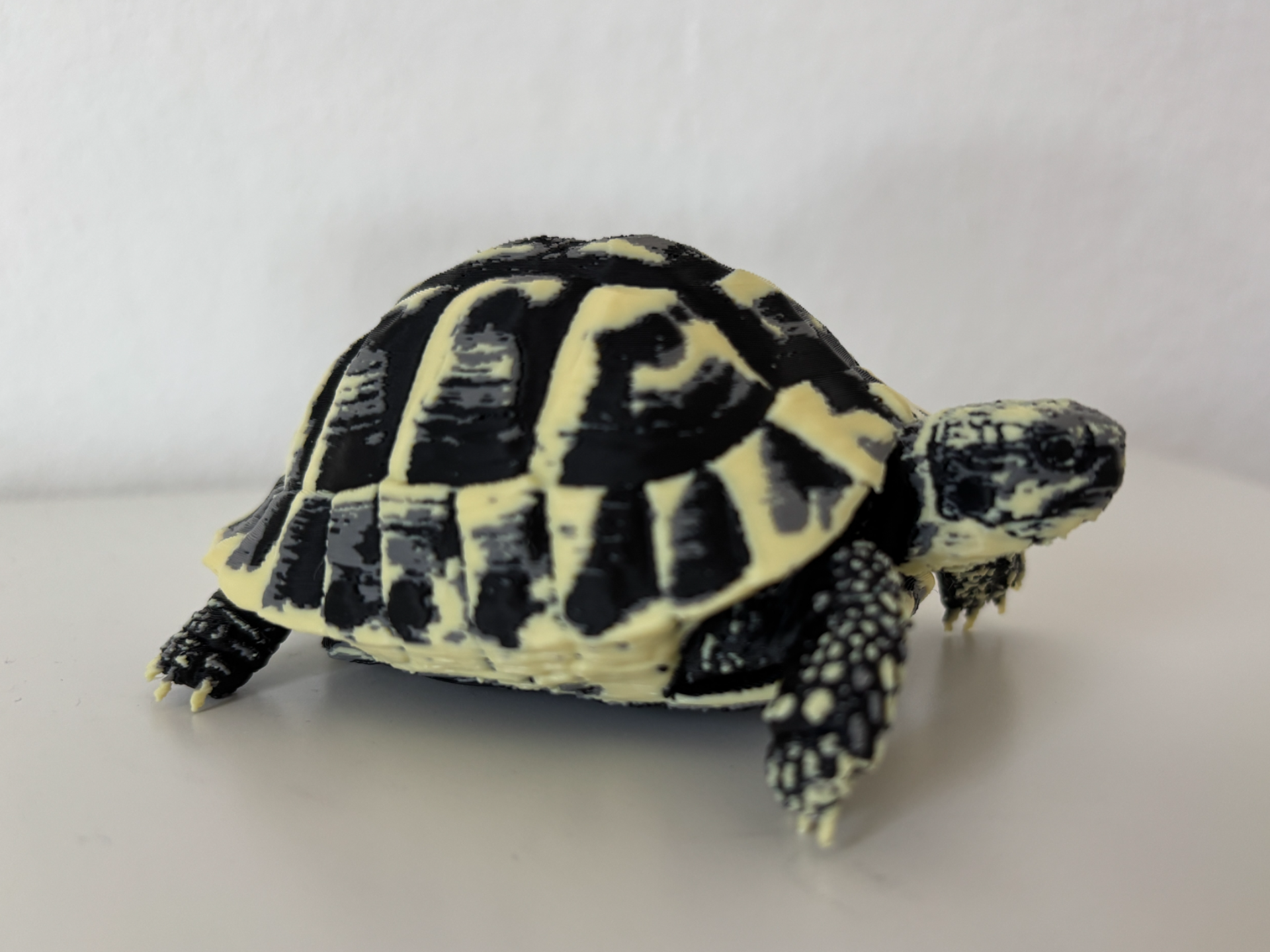Realistische Schildkröte | 3-Farben-Print