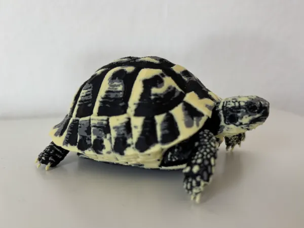 https://makerworld.bblmw.com/makerworld/model/USfb24f0dbf196fa/design/2f41c09953d74df8.jpg