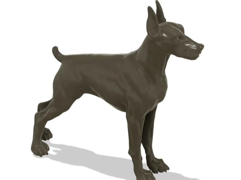 Doberman 