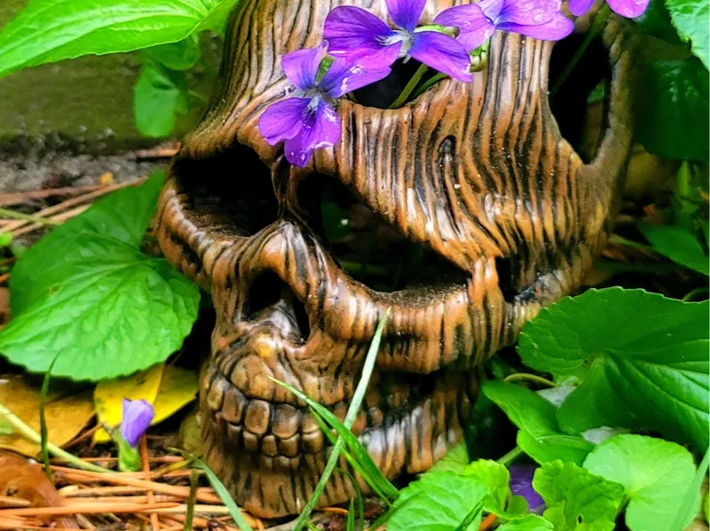 Wooden Skull Mushroom Planter 