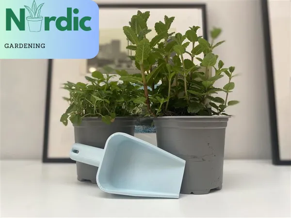 https://makerworld.bblmw.com/makerworld/model/USfb35e5be161a6d/design/2024-03-12_3205f062aca5e.png