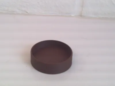 reptile bowl
