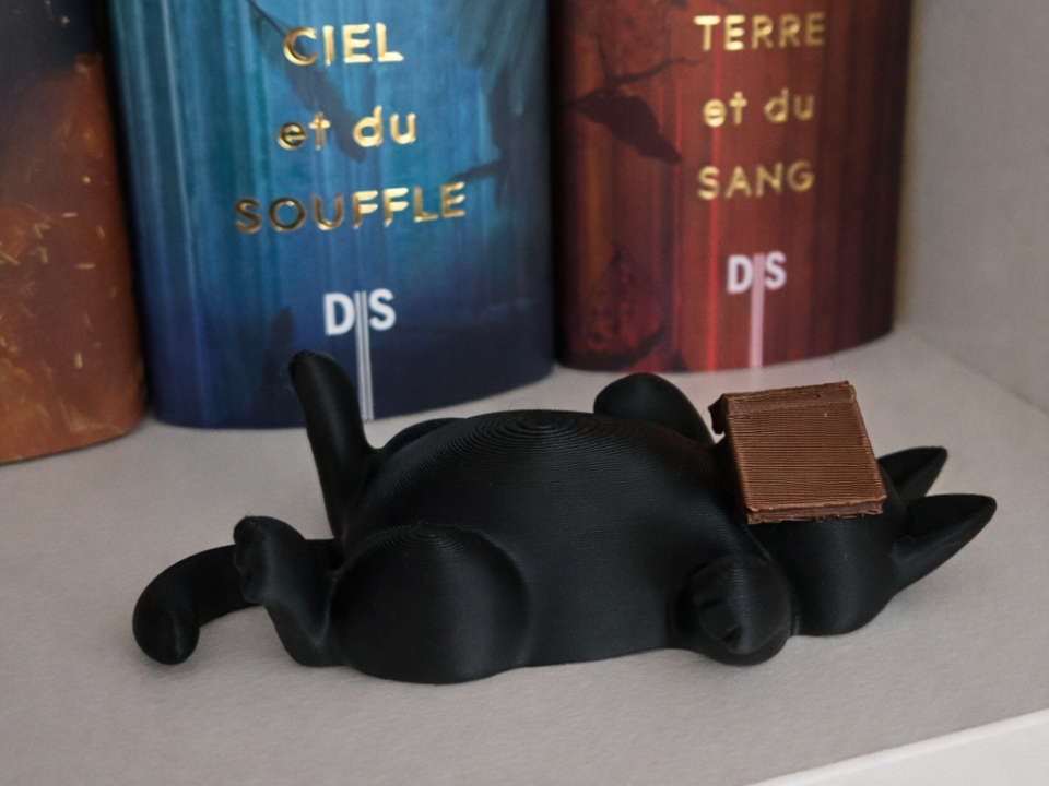 Sleeping Cat Book Shelf Decor