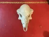 A1MINI (resized) 0.2mm layer, 2 walls, 15% infill