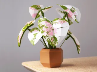 Low Poly Plant - Elephant Ear
