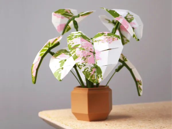 https://makerworld.bblmw.com/makerworld/model/USfb405a16ca246f/design/2025-11-10_441d17c7bd7fe8.png