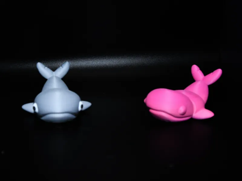 Finnley the Flexi Whale