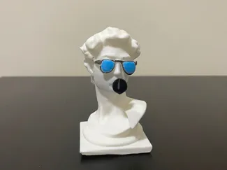 david bust