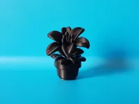 Lily - 0.08mm layer, 2 walls, 15% infill