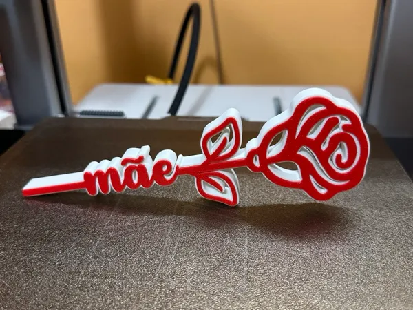 https://makerworld.bblmw.com/makerworld/model/USfb4e20a03a474e/design/2025-04-22_6659ca6a64a19.jpg