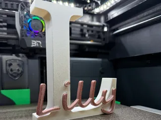 Lilly – Individuelles 3D-Namensschild