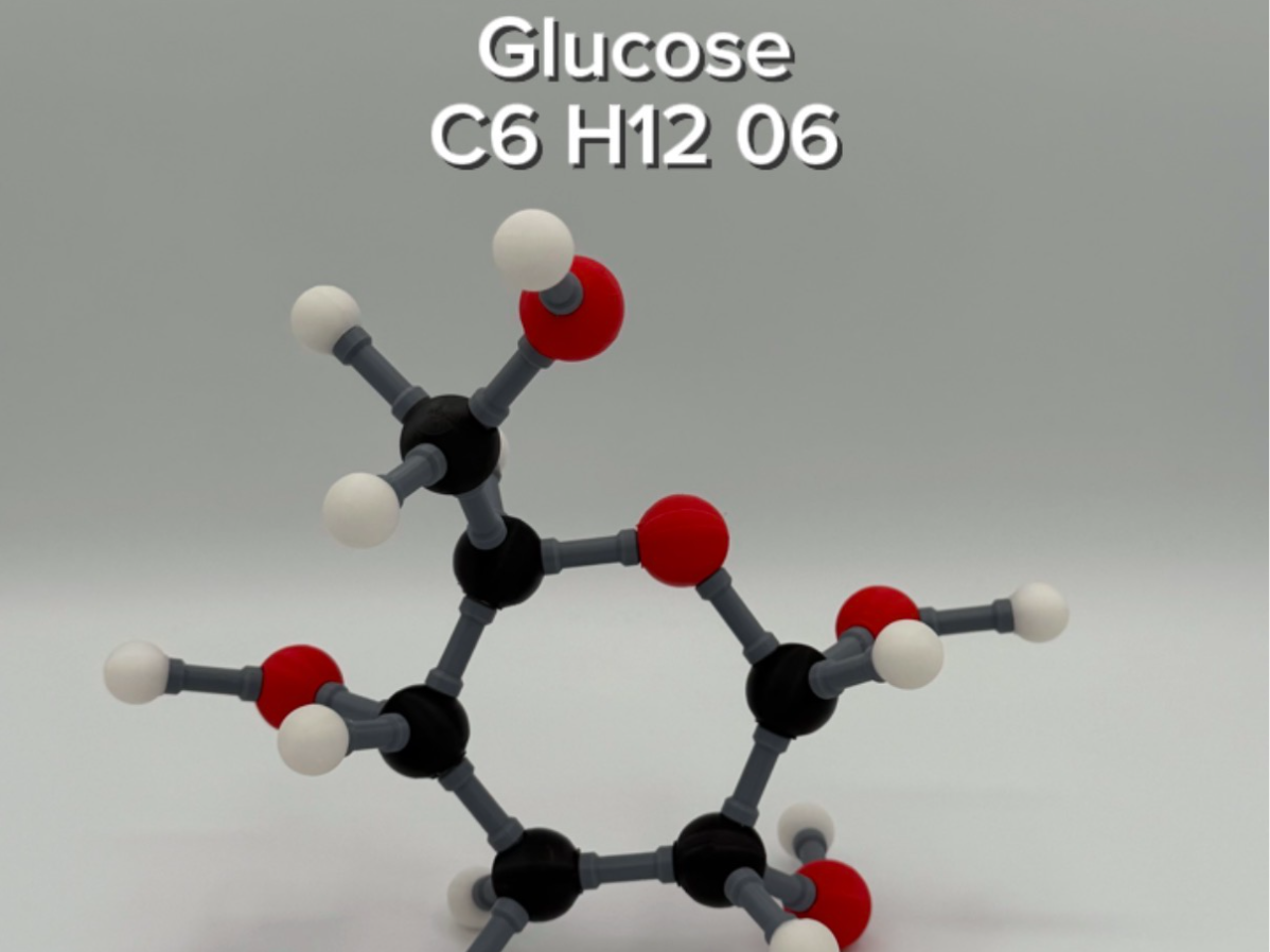 Glucose Molecule Kit