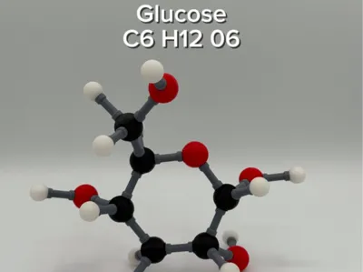 Glucose Molecule Kit